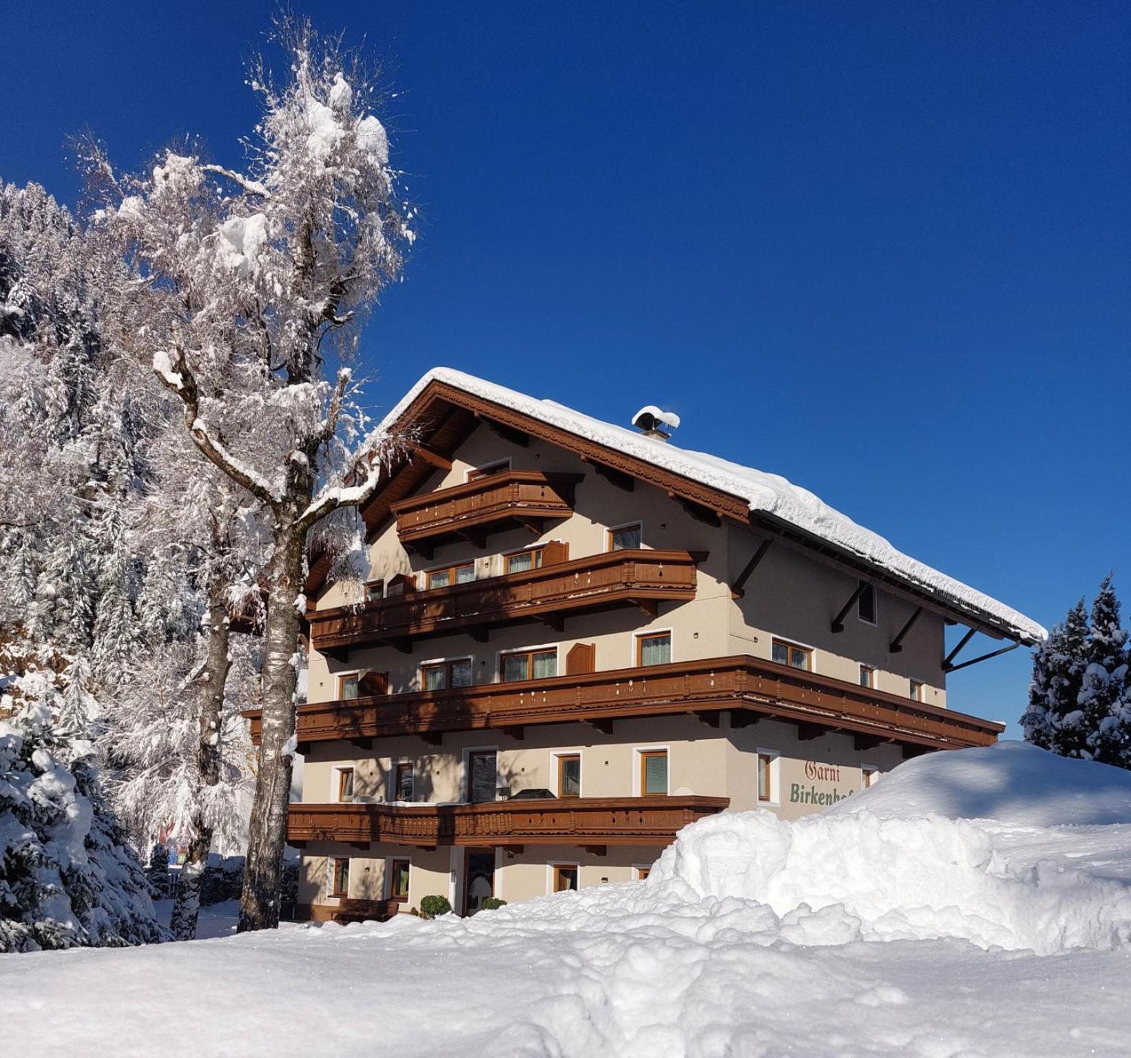 Hotel Garni Birkenhof Mayrhofen Bagian luar foto