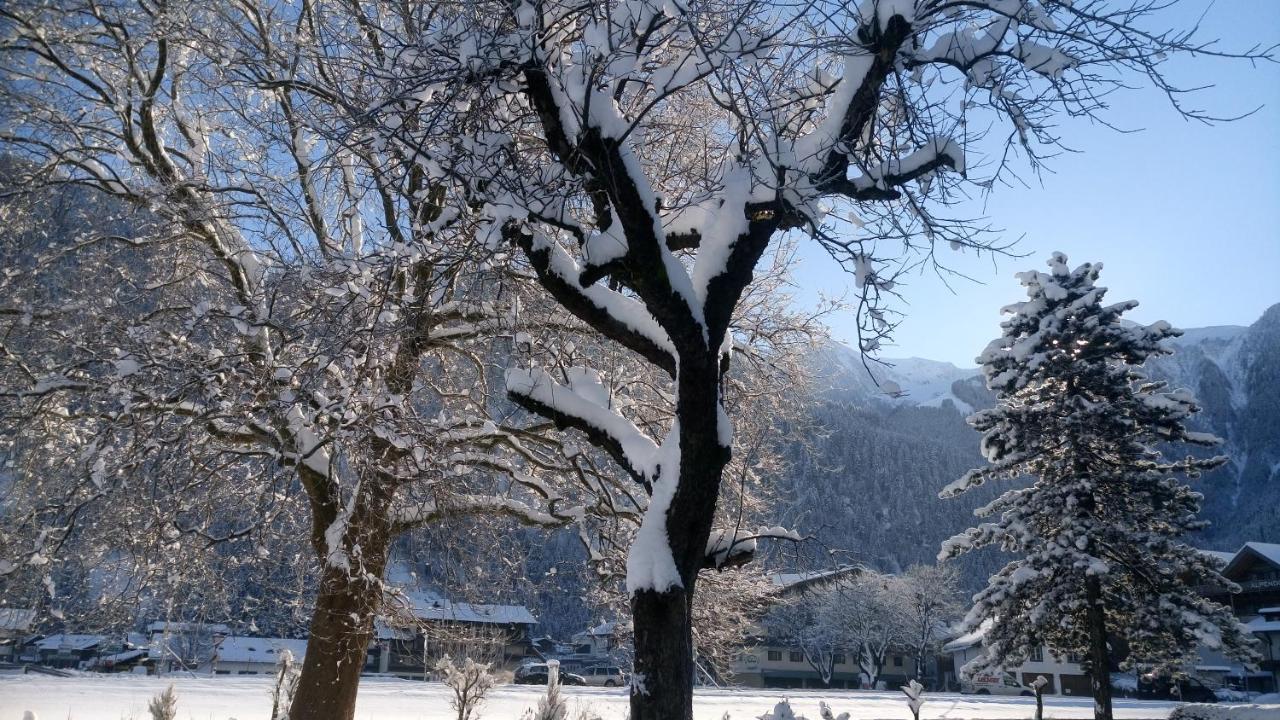 Hotel Garni Birkenhof Mayrhofen Bagian luar foto